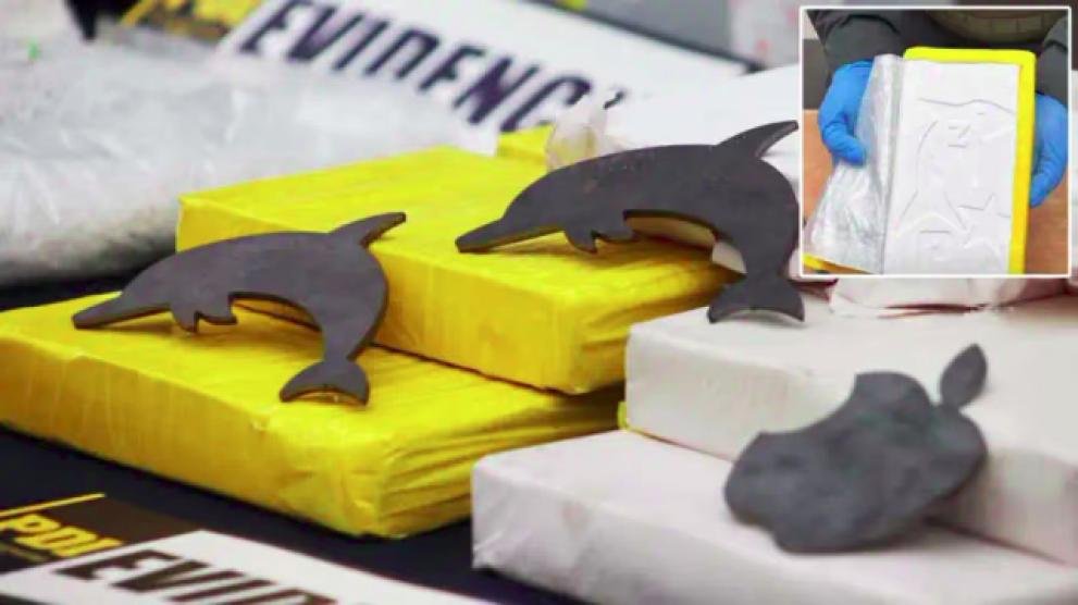 El “sello del delfín” vuelve a aparecer en cargamentos de cocaína y preocupa a las fuerzas de seguridad